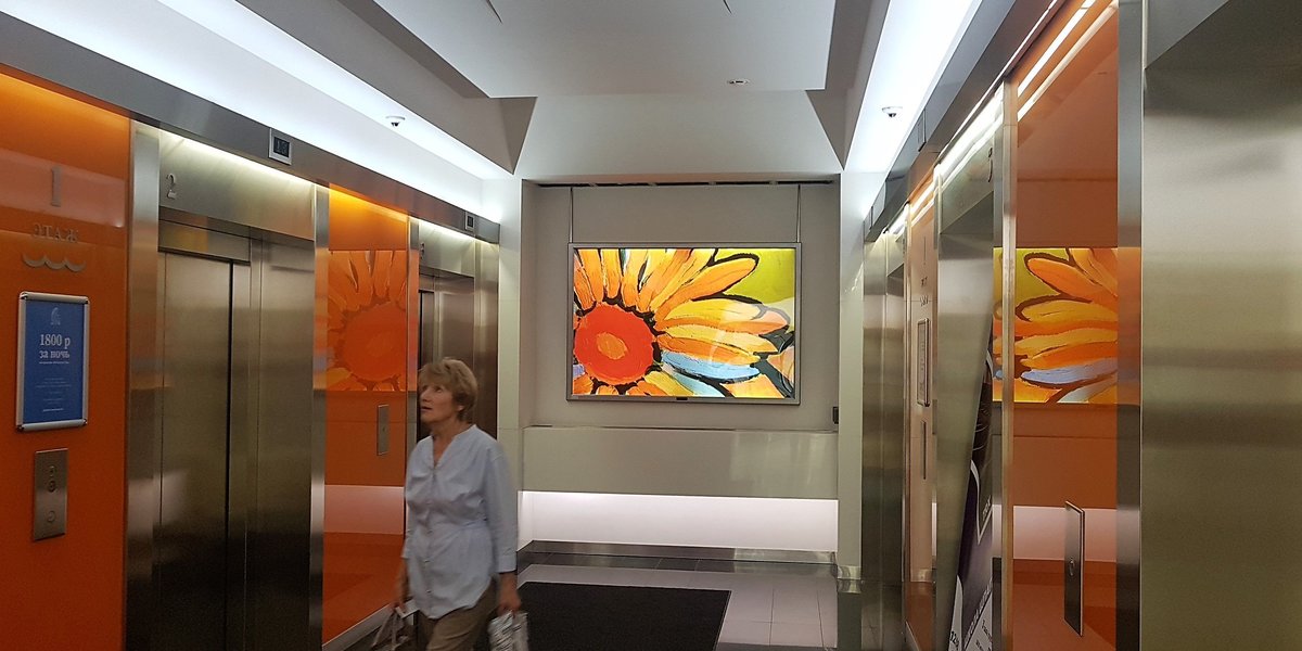 country-park-services-adv9