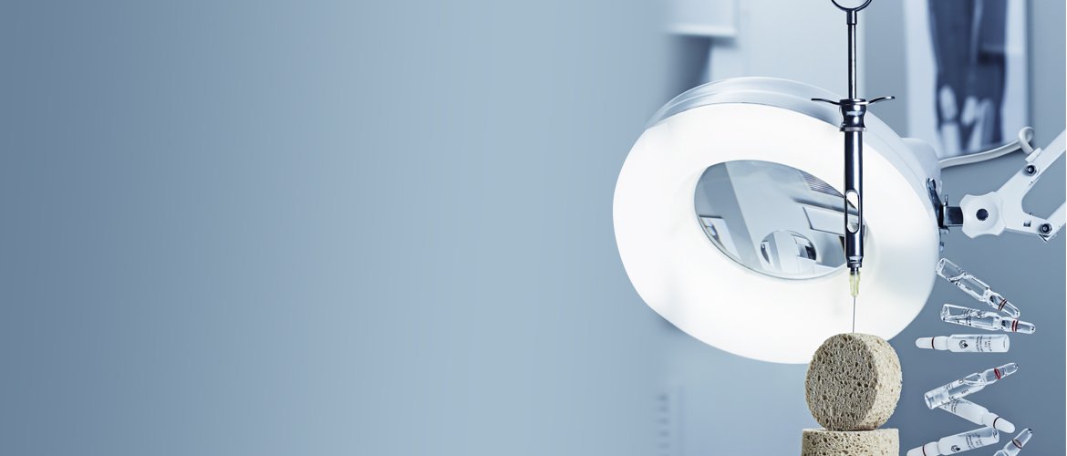 country-park-services-beauty4