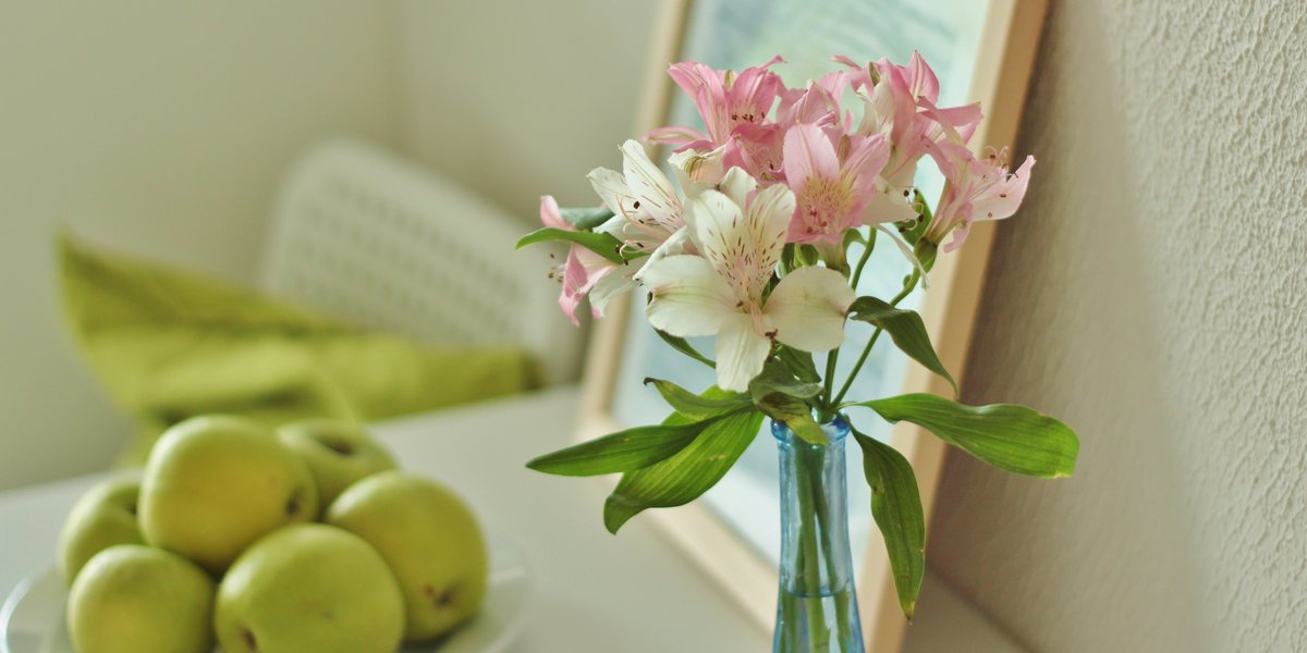 country-park-services-hotel-room10